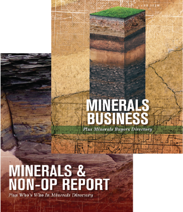 Oil and gas minerals directory and reports package